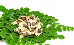 辣木的作用及食用方法？辣木的生长环境是样
