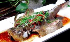 桂花鱼要叫桂花桂花鱼有牙吗？