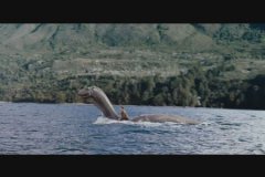 湖光岩水怪是什么动物很可能是体型巨大的淡