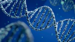 尼安德特人DNA影响我们健康的10种意想不到的方式