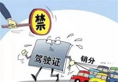 处理违章的时候需要本人去吗？