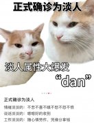 i人e人还没完？浓人淡人又来了！求你们别再贴标签了