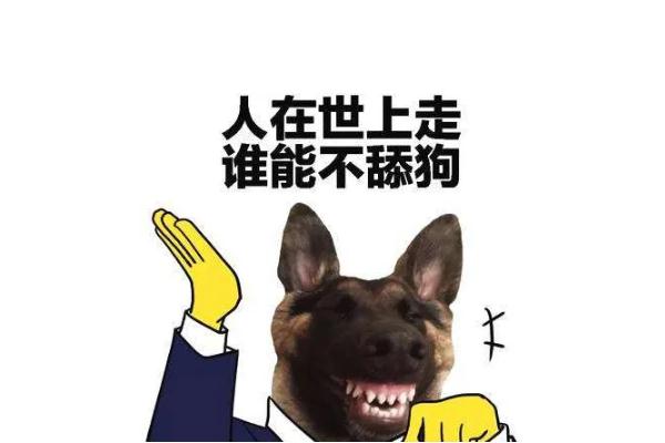 舔狗是什么心理 舔狗是骂人的话吗 舔狗是什么心理 舔狗是骂人的话吗