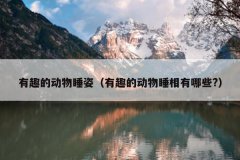 有趣的动物睡姿？有趣的动物睡相有哪些?