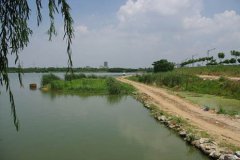 武汉适合钓鱼的地方有哪些地址+费用