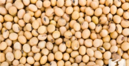 为何越来越多年轻人得高血压?应如何调理?