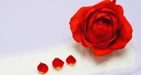 想怀孕这样的情况是没有排卵怎么知道自己没有排卵