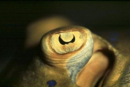 未解之谜:北京地铁三号线列车消失 北京地铁三号线列车