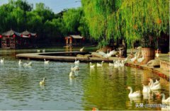 天津九龙山国家森林公园，天津一共有几个植物园