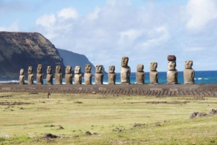 植物中的活化石 植物中的活化石有哪些