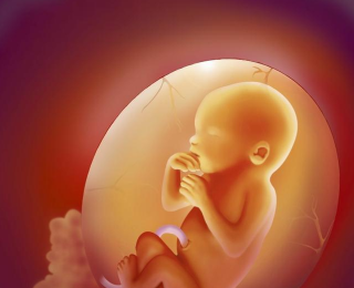 丈夫对胎儿的影响有哪些男性哪些习惯不利于备孕