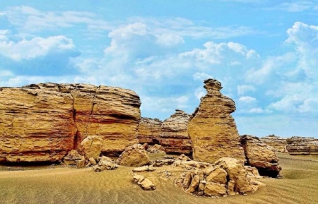 小旋角羚出生时,角会划破妈妈的肚皮吗?