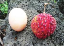 华县大地震死亡人数是多少地球上伤亡最大的灾难，华县地震死亡83万人震中在中国陕西