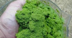 世界上最小的花