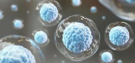 白血病的原因是怎样引起？白血病的预防和筛查建议