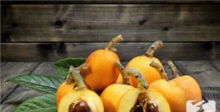 芝士是什么？发酵后的浓缩奶，含钙量是牛奶的8倍