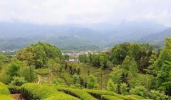 乐山至北海自驾游要几天乐山自驾到北海攻略
