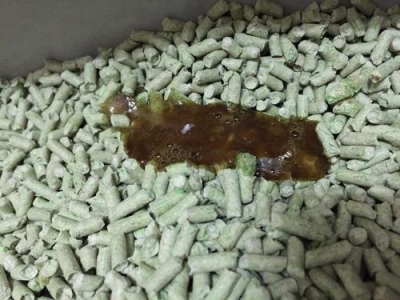 幼猫每天喂食多少？刚接回家的幼猫该喂食什么？