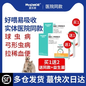 猫咪不吃饭,该怎么办?怎么才能让猫咪乖乖进食?