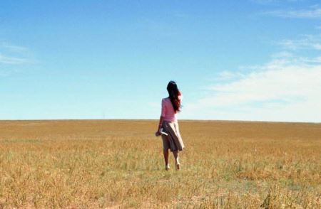 令科学家困惑的宇宙未解之谜：太阳 属于一颗炽烈的恒星太阳系老大