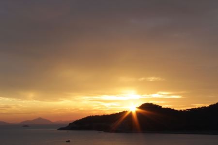  奇怪的宇宙生命信息