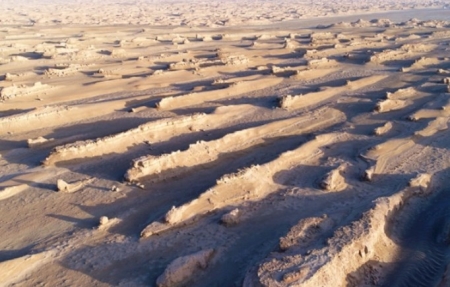 红烧鲫鱼豆腐 红烧鲫鱼豆腐的家常做法