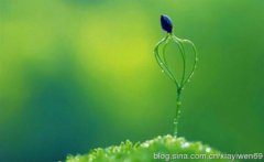 前列腺炎影响怀孕吗？介绍前列腺炎对男女性的影响