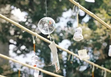 怀孕可以吃海带吗？怀孕了注意什么