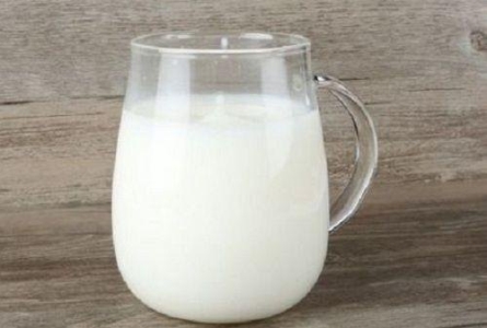 如何从猫咪的牙齿看出它的年龄吗?猫咪牙齿概览图