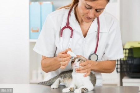 猫咪打嗝可不好笑,可能是疾病的信号,幸免错过医治