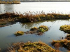 70岁老闺蜜组团经营咖啡馆：9.9元一杯