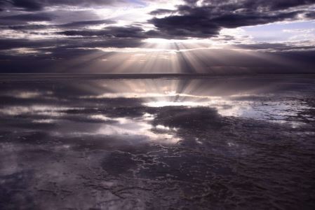 世界上羽色最多变的鸟,雷鸟的羽毛颜色对应季节而改变