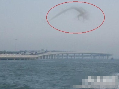 世界上羽色最多变的鸟,雷鸟的羽毛颜色对应季节而改变