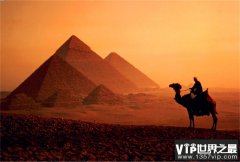 世界十大寿命最长鸟类 葵花凤头鹦鹉等