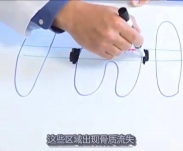 猫咪在何时绝育才是最佳的？不绝育会对猫咪本身有什么伤害呢？