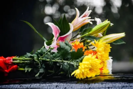 感冒的具体病因 感冒需要吃药吗？