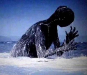 世界上最昂贵的7种动物,藏獒只能排第三,最后一种比大熊猫还贵