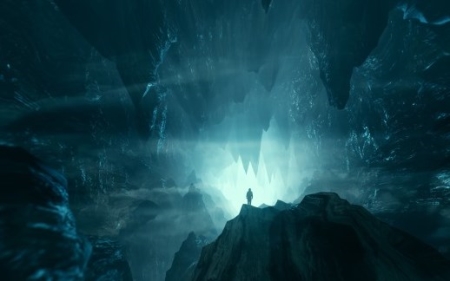 世界上最昂贵的7种动物,藏獒只能排第三,最后一种比大熊猫还贵