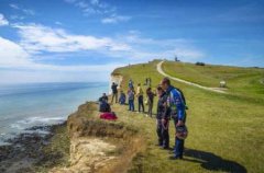 世界上嘴最大的鸟是什么鸟