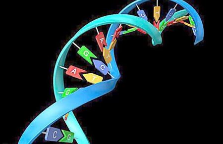 金蝉子是哪位?来自东土大唐高僧唐三藏