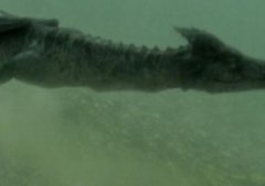 地球的自转轴会是倾斜的