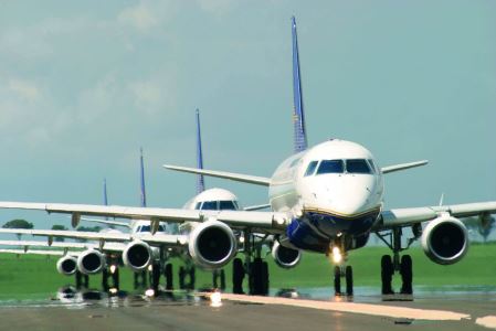 巨型翻车鱼，一种大型海洋鱼类之一性情凶猛