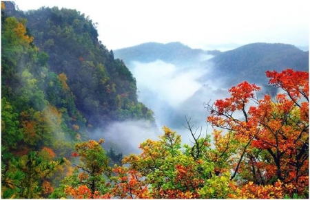 雷军要送张颂文小米SU7 当事人:一句玩笑 您别当真