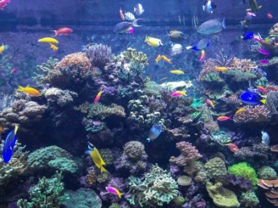 手机上的这些隐形参数厂商可能不会