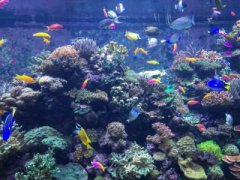 手机上的这些隐形参数厂商可能不会