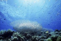 仙女山自驾旅游攻略夏季