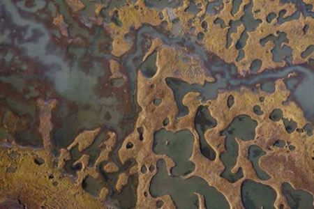 会展中心附近好玩的地方吗?国际会展中心附近有什么好玩的