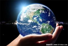 10种已灭绝的最大鲸鱼盘点世界上发现的最