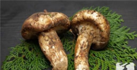 健身后可以偶尔吃汉堡吗?