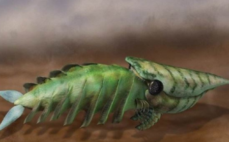 驴与马的交配是爱情神话？还是一种创新精神？